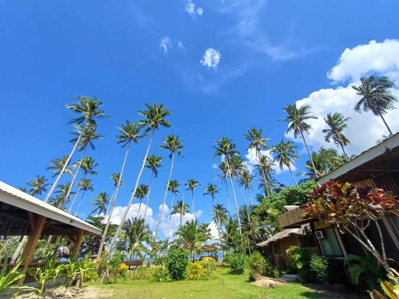 Amihan Beach Hostel سان فيسنتي المظهر الخارجي الصورة