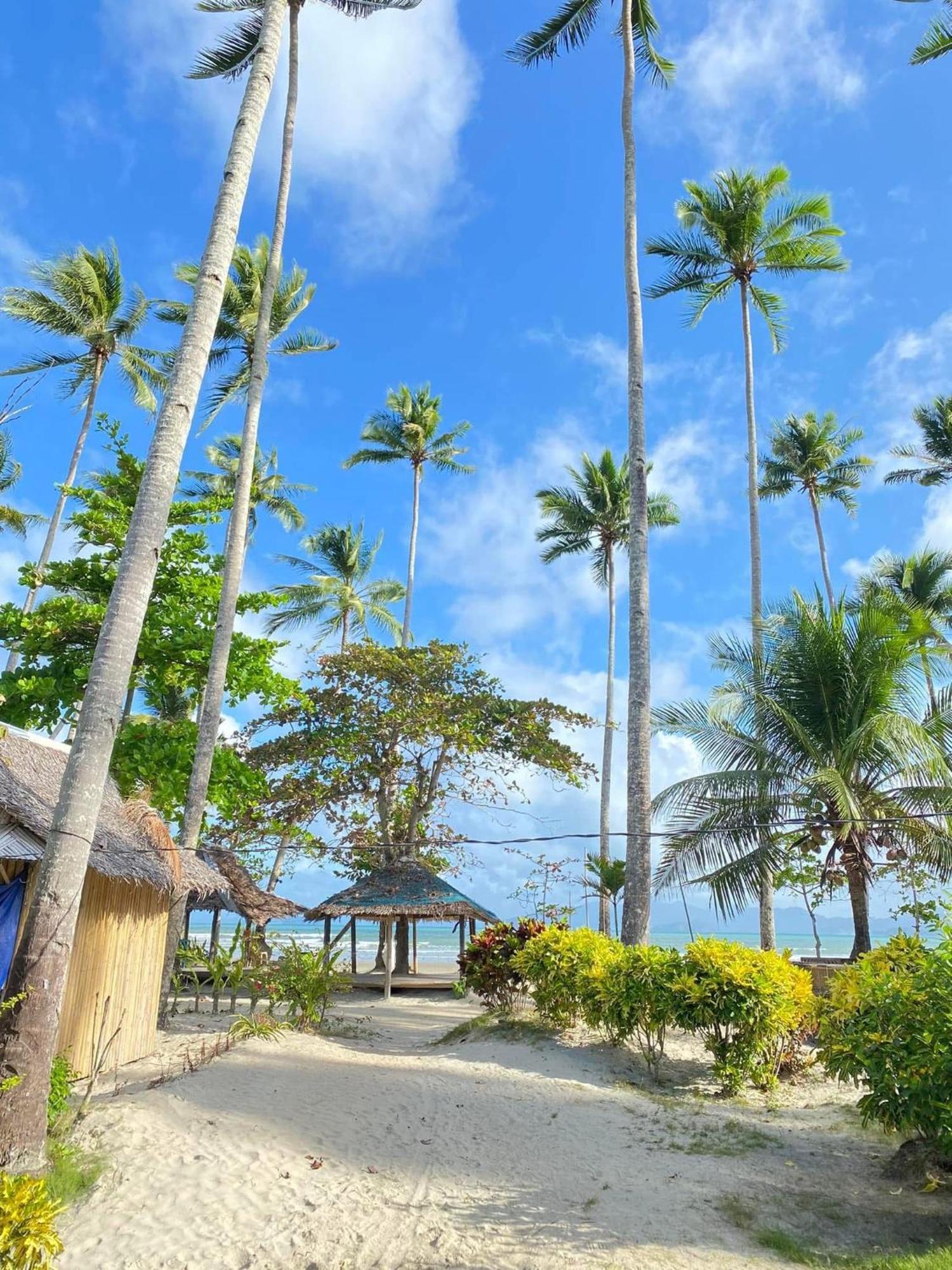 Amihan Beach Hostel سان فيسنتي المظهر الخارجي الصورة