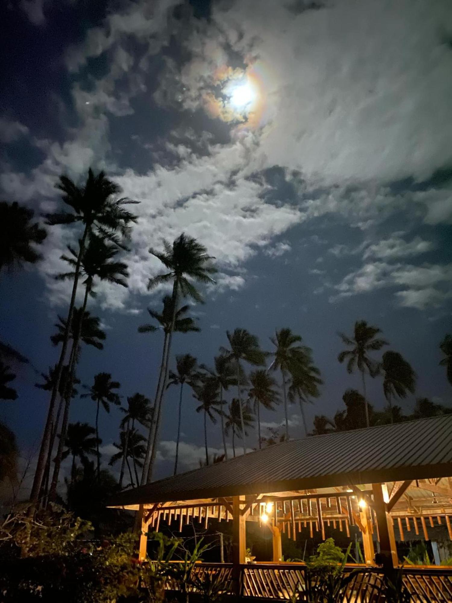Amihan Beach Hostel سان فيسنتي المظهر الخارجي الصورة