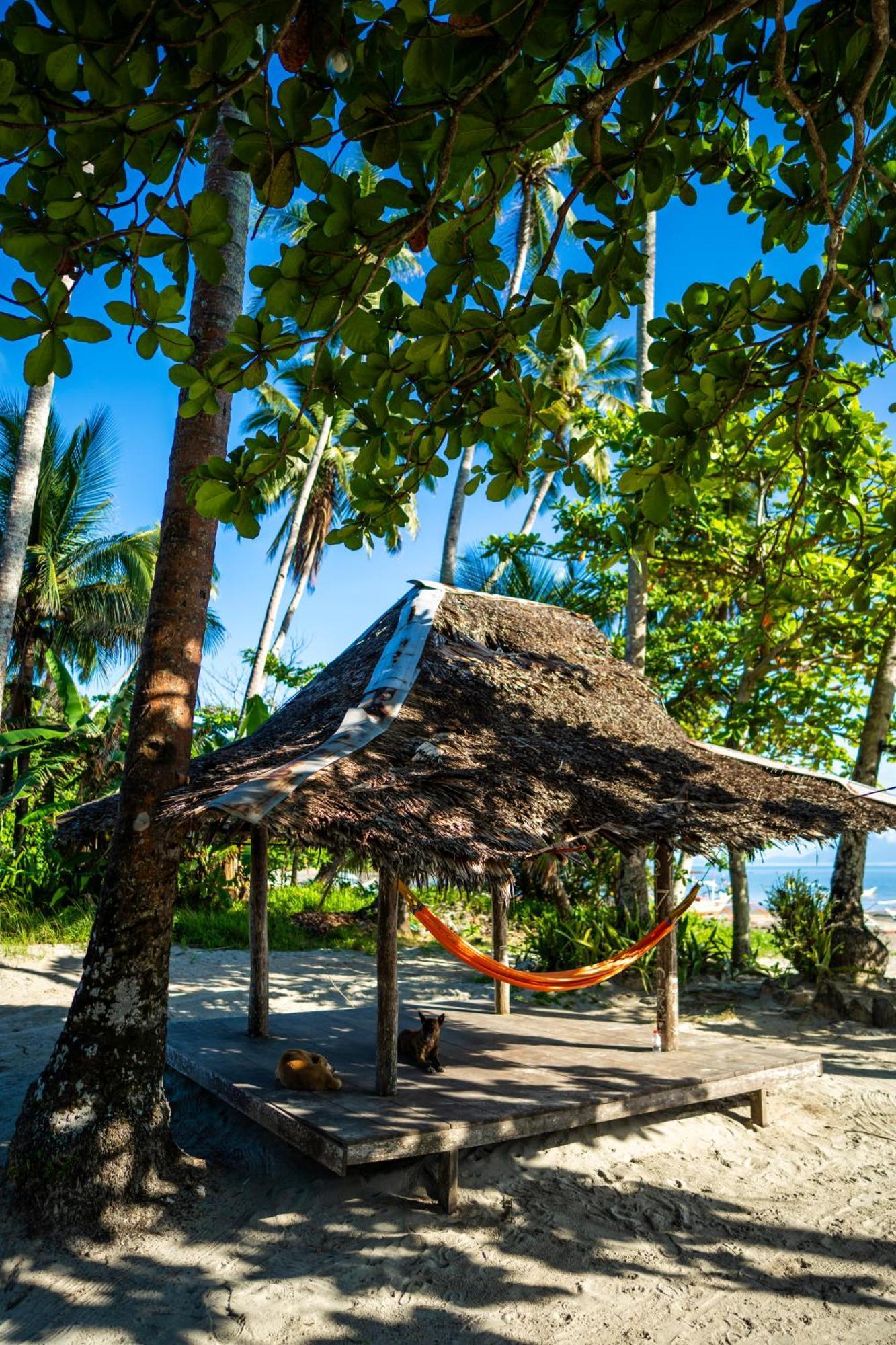 Amihan Beach Hostel سان فيسنتي المظهر الخارجي الصورة